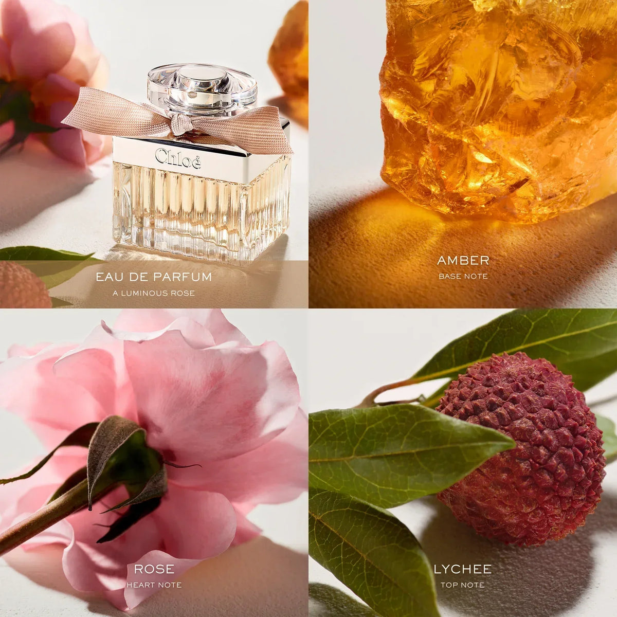 Chloe - EDP - 75ml