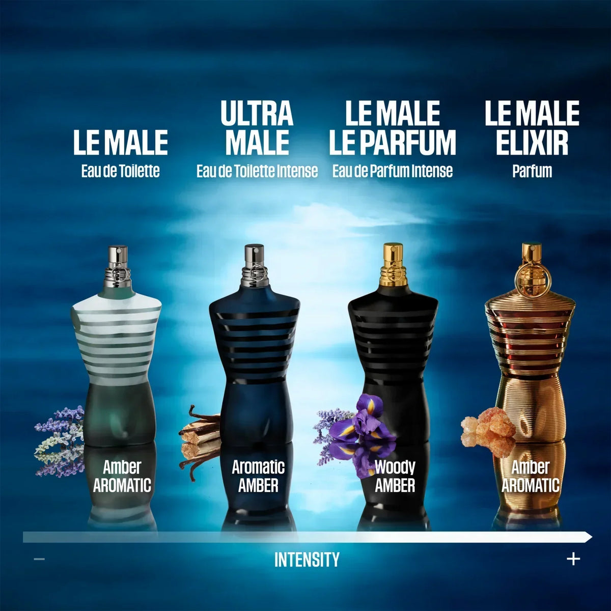 Le Male - EDT - 100ml