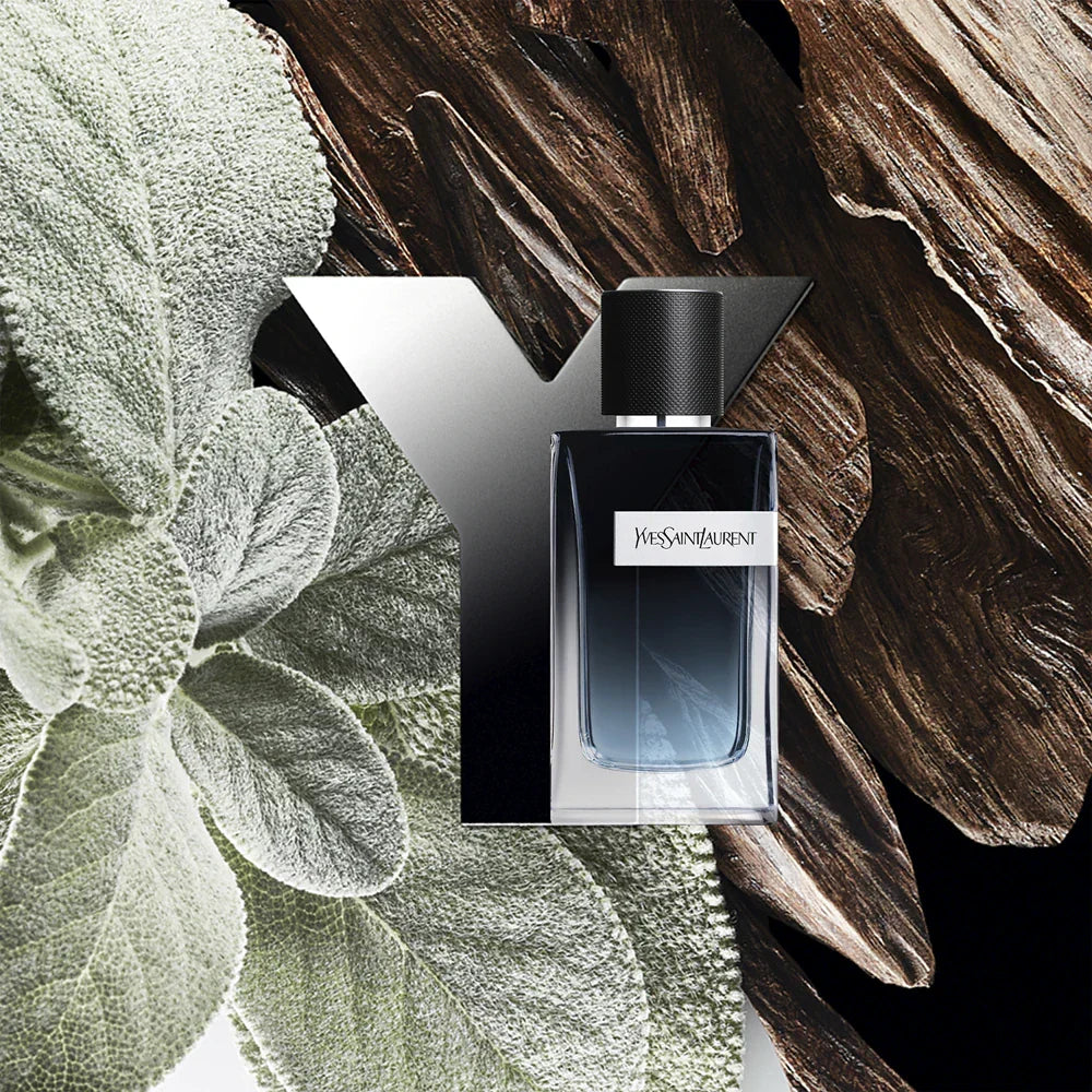 Y Men - EDP - 100ml